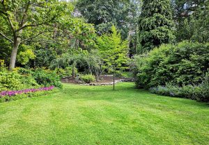 Optimiser l'expérience du jardin à Colline-Beaumont